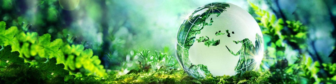 Eduard Mihai Maravela